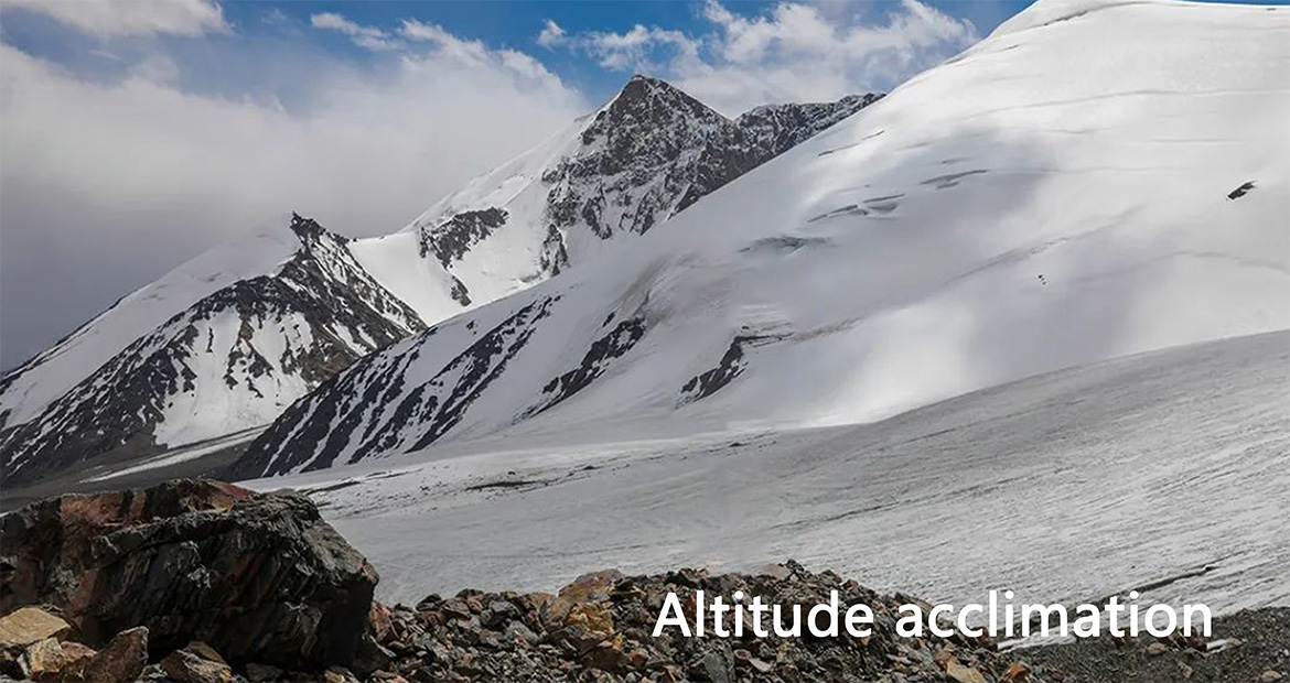 Protective glass and Films